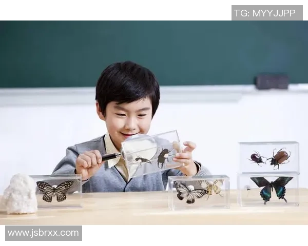 卡通风格的篮球架创意设计图片展示让你感受运动的乐趣与童趣